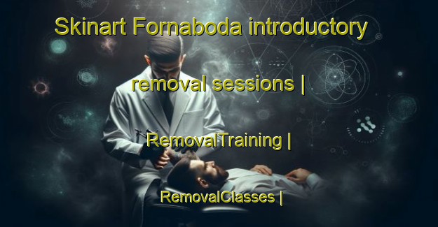 Skinart Fornaboda introductory removal sessions | RemovalTraining | RemovalClasses | SkinartTraining-Sweden
